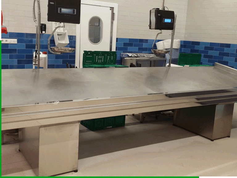 Mostrador fijo de acero inoxidable a medida fabricado por TCOM SL, diseñado para supermercados y pescaderías. Resistente, higiénico y adaptado a la exposición de productos frescos con máxima durabilidad.